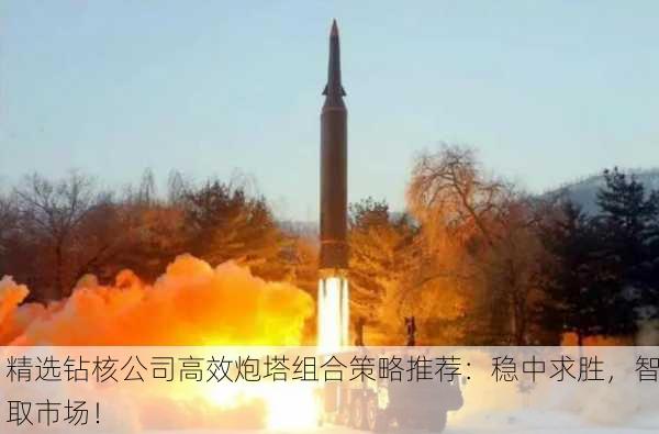 精选钻核公司高效炮塔组合策略推荐：稳中求胜，智取市场！