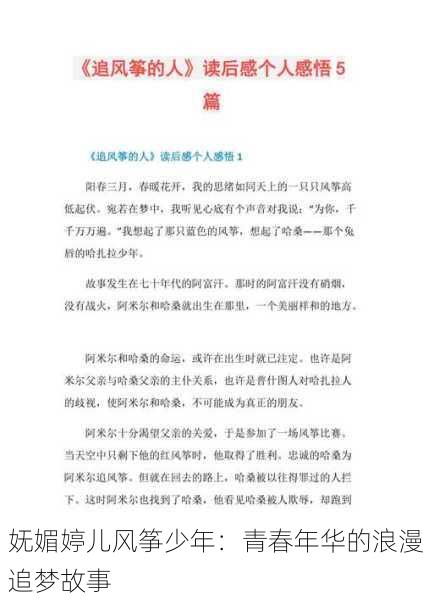 妩媚婷儿风筝少年：青春年华的浪漫追梦故事