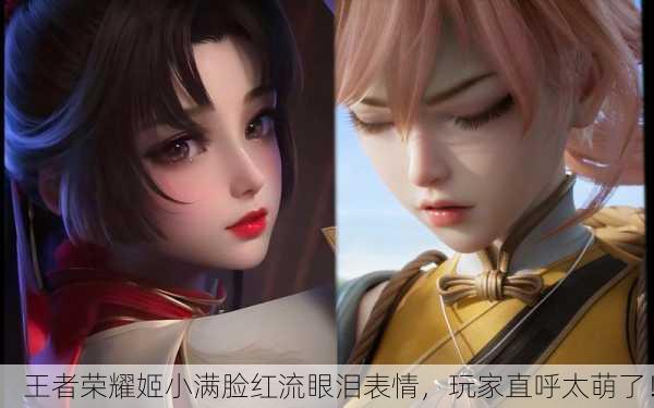 王者荣耀姬小满脸红流眼泪表情，玩家直呼太萌了！