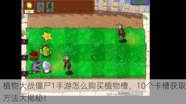 植物大战僵尸1手游怎么购买植物槽，10个卡槽获取方法大揭秘！
