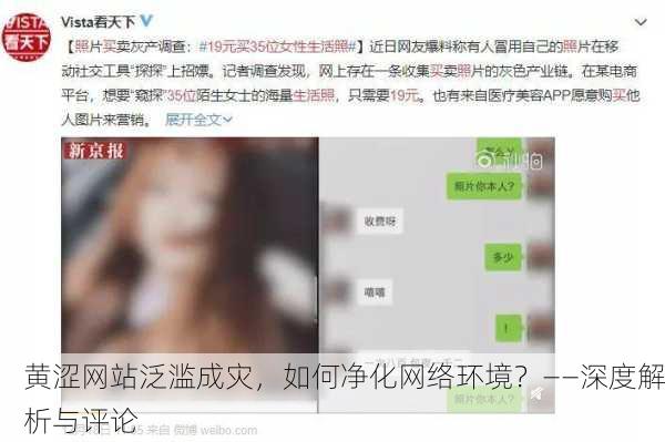 黄涩网站泛滥成灾，如何净化网络环境？——深度解析与评论