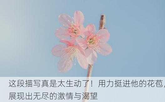 这段描写真是太生动了！用力挺进他的花苞，展现出无尽的激情与渴望