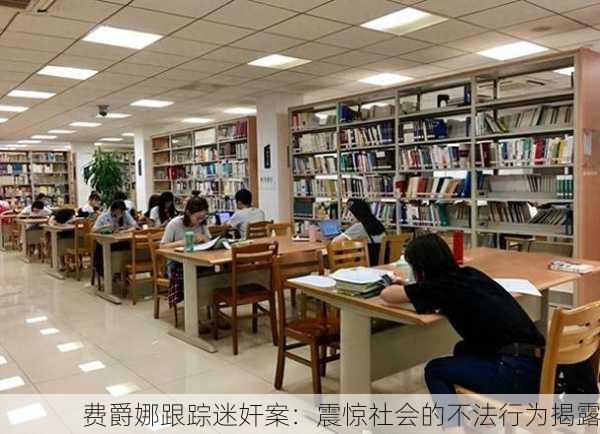 费爵娜跟踪迷奸案：震惊社会的不法行为揭露