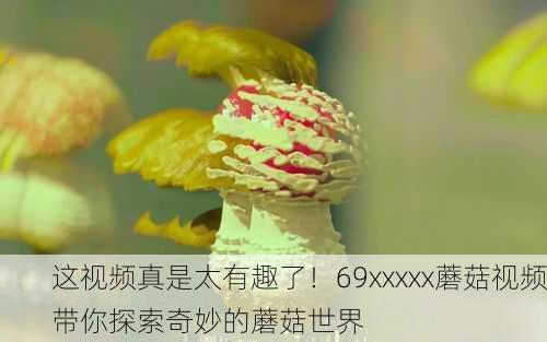 这视频真是太有趣了！69xxxxx蘑菇视频带你探索奇妙的蘑菇世界