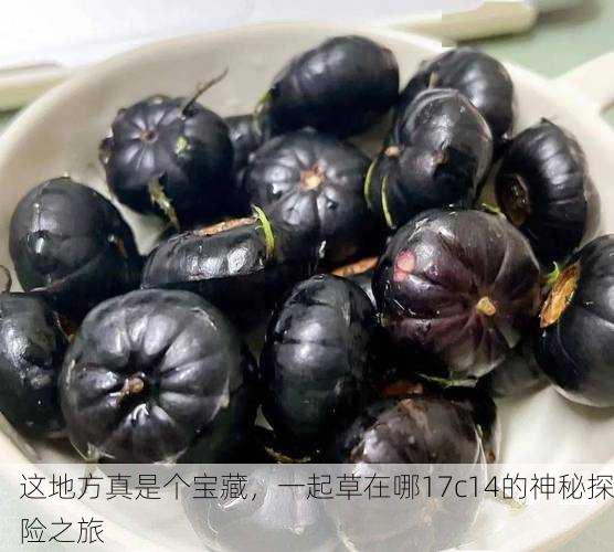 这地方真是个宝藏，一起草在哪17c14的神秘探险之旅
