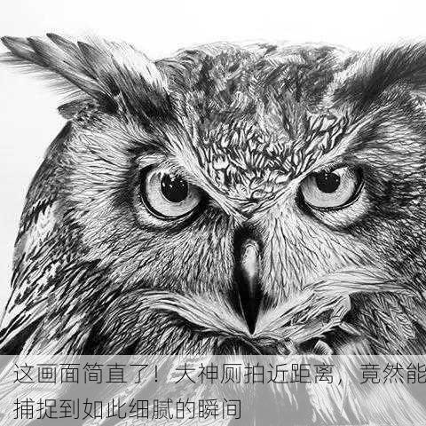 这画面简直了！大神厕拍近距离，竟然能捕捉到如此细腻的瞬间