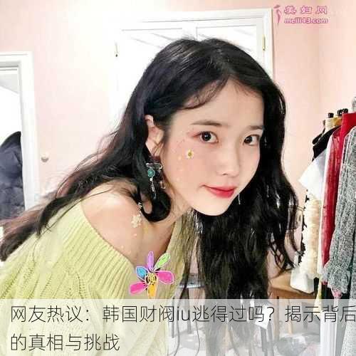 网友热议：韩国财阀iu逃得过吗？揭示背后的真相与挑战