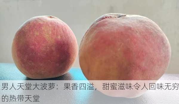 男人天堂大波萝：果香四溢，甜蜜滋味令人回味无穷的热带天堂
