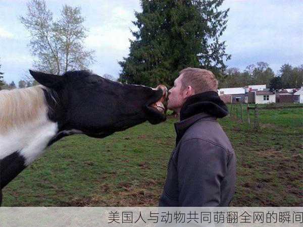 美国人与动物共同萌翻全网的瞬间