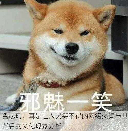 色尼玛，真是让人哭笑不得的网络热词与其背后的文化现象分析