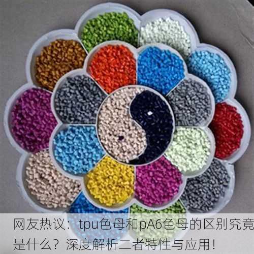 网友热议：tpu色母和pA6色母的区别究竟是什么？深度解析二者特性与应用！