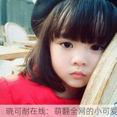 晓可耐在线：萌翻全网的小可爱