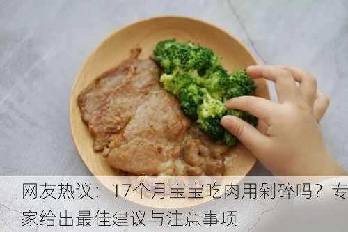 网友热议：17个月宝宝吃肉用剁碎吗？专家给出最佳建议与注意事项