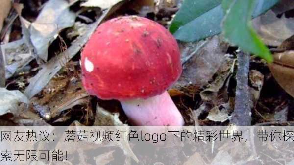 网友热议：蘑菇视频红色logo下的精彩世界，带你探索无限可能！