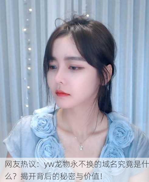 网友热议：yw龙物永不换的域名究竟是什么？揭开背后的秘密与价值！