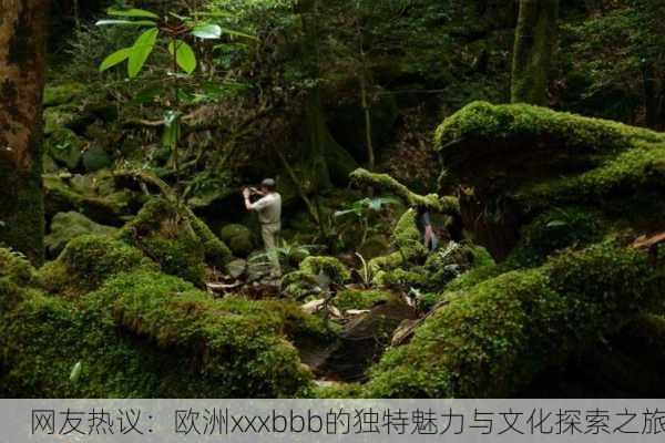 网友热议：欧洲xxxbbb的独特魅力与文化探索之旅