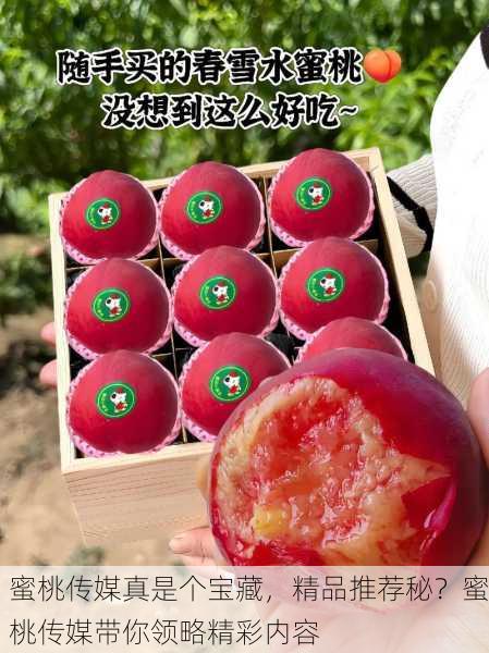 蜜桃传媒真是个宝藏，精品推荐秘？蜜桃传媒带你领略精彩内容