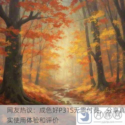 网友热议：成色好P31S无需付费，分享真实使用体验和评价