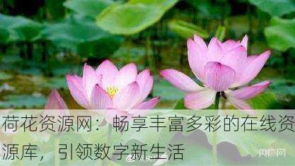 荷花资源网：畅享丰富多彩的在线资源库，引领数字新生活