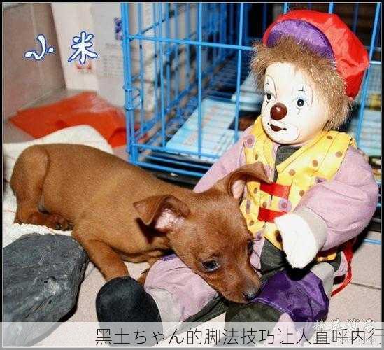 黑土ちゃん的脚法技巧让人直呼内行