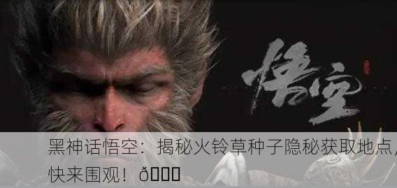 黑神话悟空：揭秘火铃草种子隐秘获取地点，快来围观！🌟