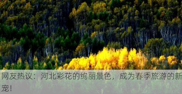 网友热议：河北彩花的绚丽景色，成为春季旅游的新宠！