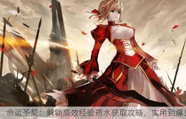 命运圣契：解锁高效经验药水获取攻略，实用到爆！
