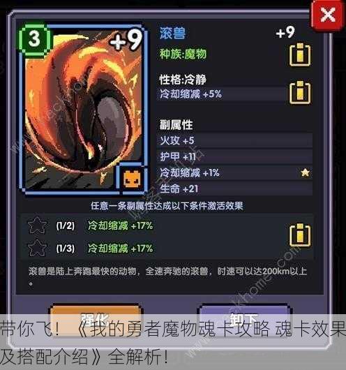 带你飞！《我的勇者魔物魂卡攻略 魂卡效果及搭配介绍》全解析！