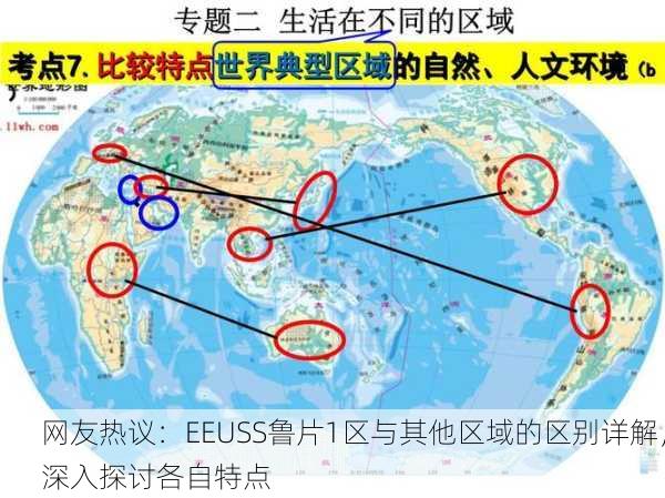网友热议：EEUSS鲁片1区与其他区域的区别详解，深入探讨各自特点