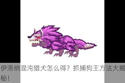 伊洛纳混沌猎犬怎么得？抓捕狗王方法大揭秘！