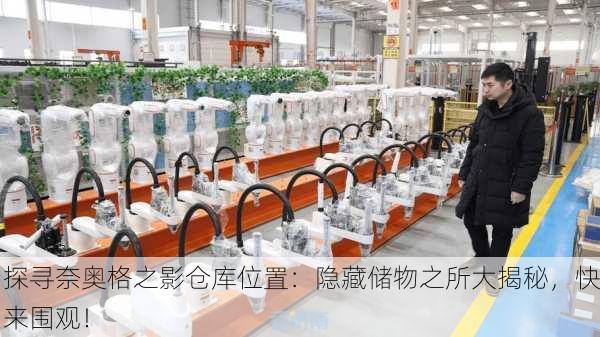 探寻奈奥格之影仓库位置：隐藏储物之所大揭秘，快来围观！