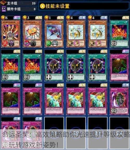 命运圣契：高效策略助你光速提升等级攻略，玩转游戏新姿势！