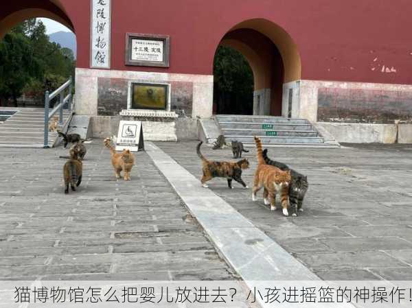 猫博物馆怎么把婴儿放进去？小孩进摇篮的神操作！
