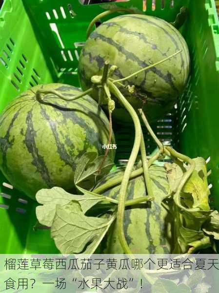 榴莲草莓西瓜茄子黄瓜哪个更适合夏天食用？一场“水果大战”！