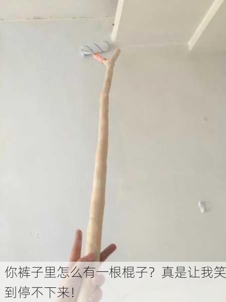 你裤子里怎么有一根棍子？真是让我笑到停不下来！