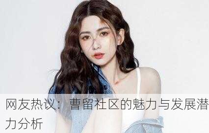 网友热议：曹留社区的魅力与发展潜力分析