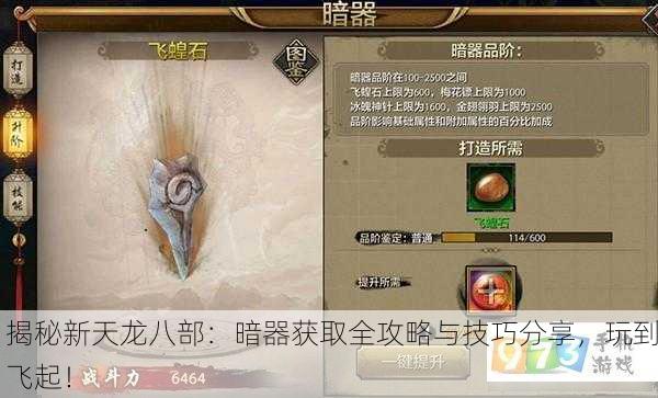 揭秘新天龙八部：暗器获取全攻略与技巧分享，玩到飞起！