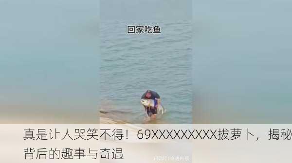 真是让人哭笑不得！69XXXXXXXXX拔萝卜，揭秘背后的趣事与奇遇