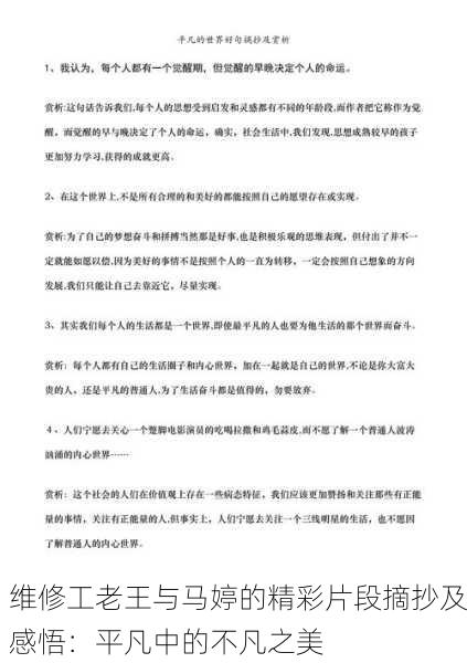 维修工老王与马婷的精彩片段摘抄及感悟：平凡中的不凡之美