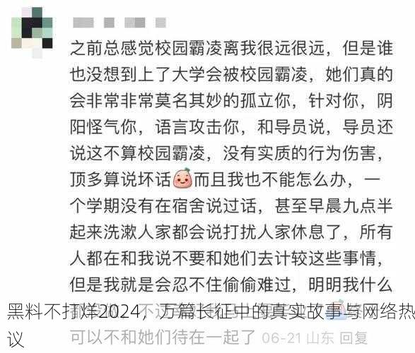 黑料不打烊2024，万篇长征中的真实故事与网络热议