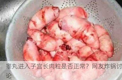 睾丸进入子宫长肉粒是否正常？网友炸锅讨论