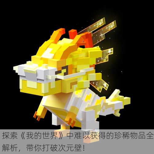 探索《我的世界》中难以获得的珍稀物品全解析，带你打破次元壁！