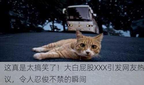 这真是太搞笑了！大白屁股XXX引发网友热议，令人忍俊不禁的瞬间