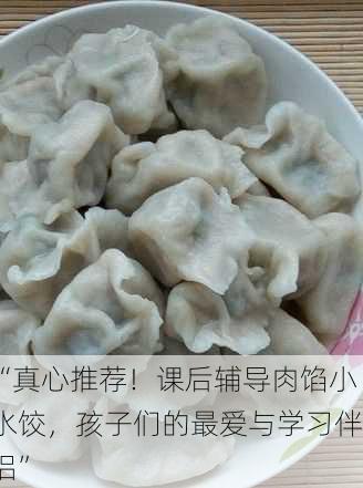 “真心推荐！课后辅导肉馅小水饺，孩子们的最爱与学习伴侣”