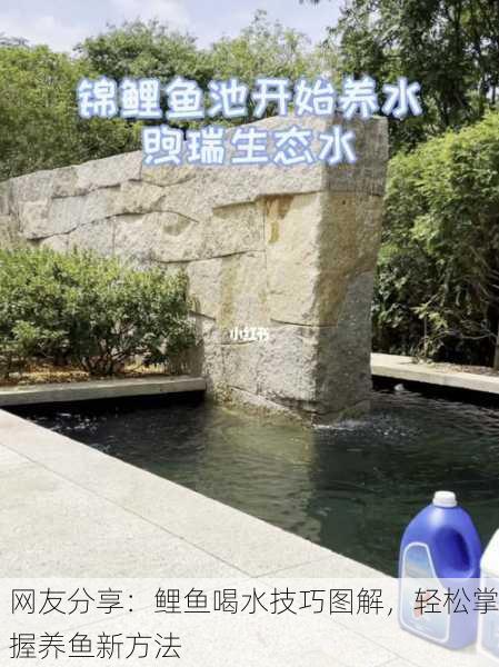 网友分享：鲤鱼喝水技巧图解，轻松掌握养鱼新方法