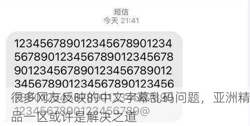 很多网友反映的中文字幕乱码问题，亚洲精品一区或许是解决之道