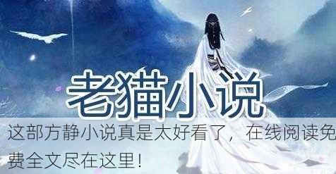 这部方静小说真是太好看了，在线阅读免费全文尽在这里！