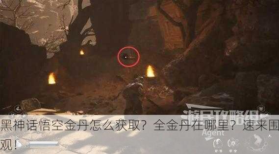 黑神话悟空金丹怎么获取？全金丹在哪里？速来围观！