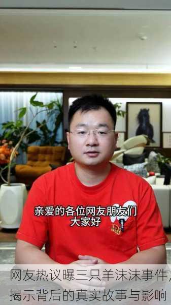 网友热议曝三只羊沫沫事件，揭示背后的真实故事与影响