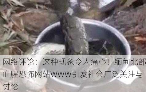 网络评论：这种现象令人痛心！缅甸北部血腥恐怖网站WWW引发社会广泛关注与讨论